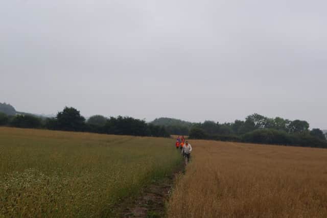 Memory walk EMN-160709-170814001