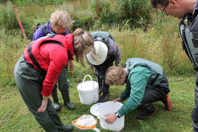 Volunteers record the presence of Riverflies along the River Bain. EMN-160915-113046001