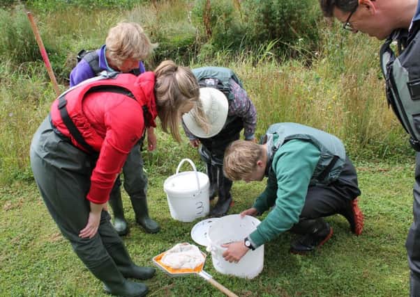 Volunteers record the presence of Riverflies along the River Bain. EMN-160915-113046001