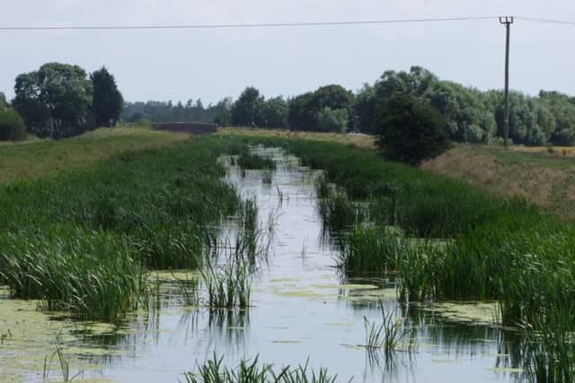 Reeds growing in the River Steeping. ANL-160920-105244001