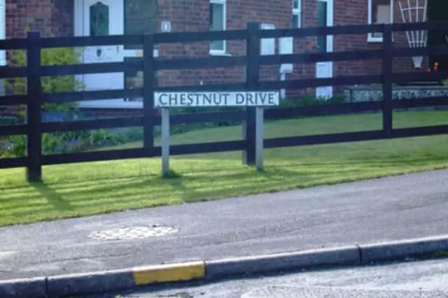 Chestnut Drive.
