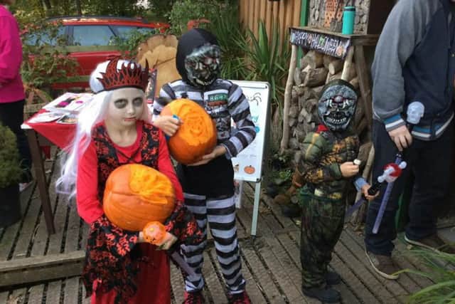 Halloween at Skegness Eco Centre. ANL-161027-171050001