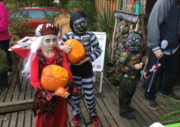 Halloween at Skegness Eco Centre. ANL-161027-171050001