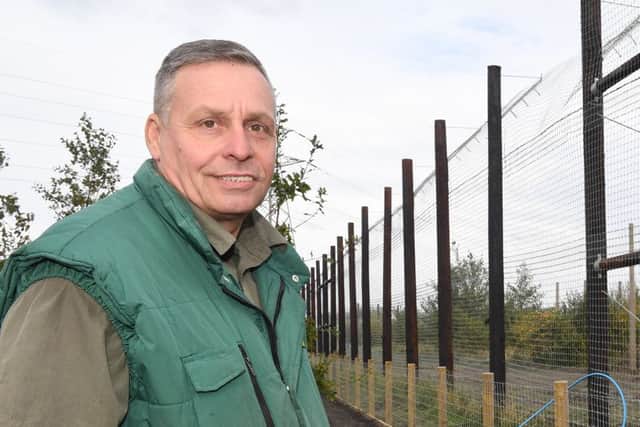 Tigers at Lincolnshire Wildlife Park. Owner Steve Nichols.