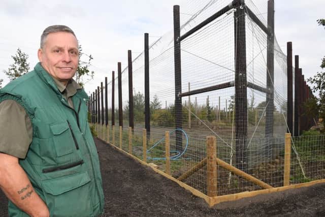 Tigers at Lincolnshire Wildlife Park. Owner Steve Nichols.