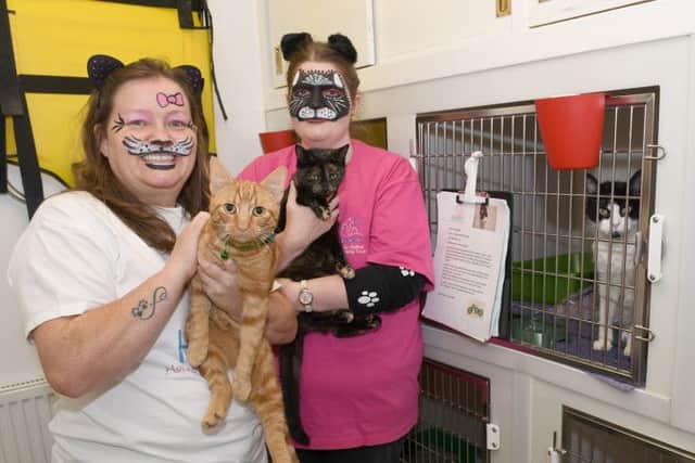 Left owner of Foxhall Vets and H.A.R.T founder, Tracy Healy with Tommy, and organiser Joanna Crinks with Trixie EMN-160211-105448001