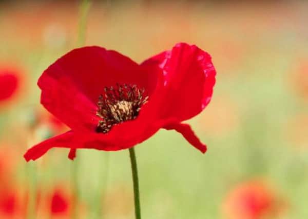 Remembrance Day services are  taking place in the Skegness area on Sunday. ANL-161011-075544001
