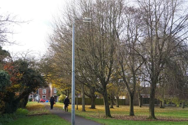 Police have resorted to helping people at night see their way trhough Prospect Park by torchlight EMN-161124-160735001