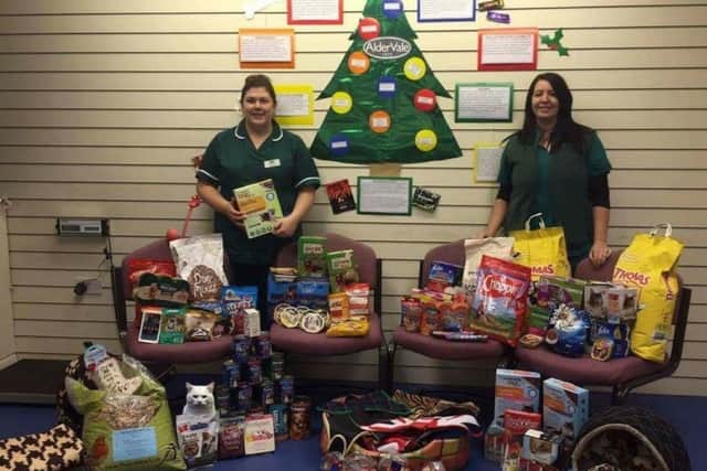 Veterinary nurses Tara Brown (left) and Emily Kurti at Aldervale Vets, Chapel St Leonards, and Arthur the cat.