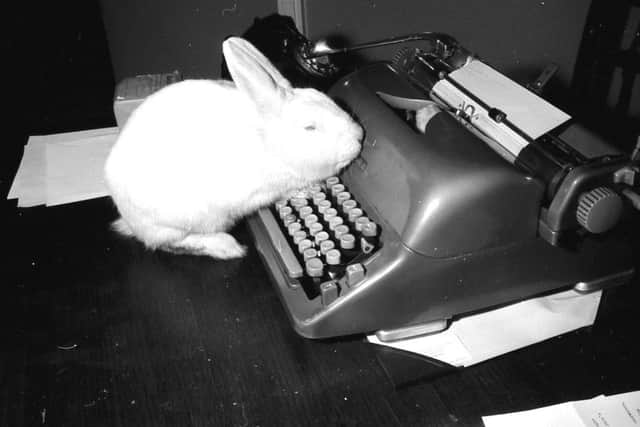 Gertrude, the rabbit that scared off a dog in December 1966.