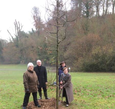 Mayor of Louth Eileen Ballard and her fellow councillors unveil the tree.