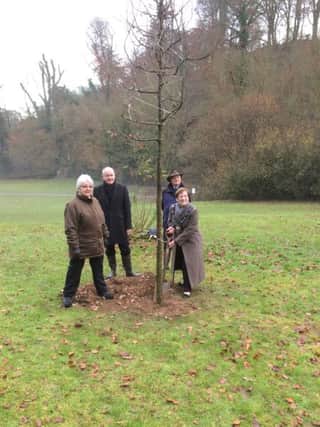 Mayor of Louth Eileen Ballard and her fellow councillors unveil the tree.