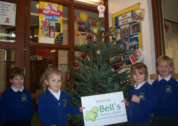 Pupils from Stickney Primary School with their tree from Bells Nursery Outlet, of Benington.