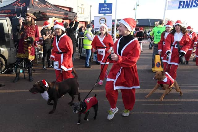 Having a wooferly time on the Skegness Santa Run. Photo: MSKP-111216-40 ANL-161212-101345001