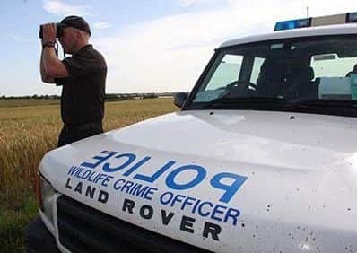 Hare coursing EMN-161221-160701001