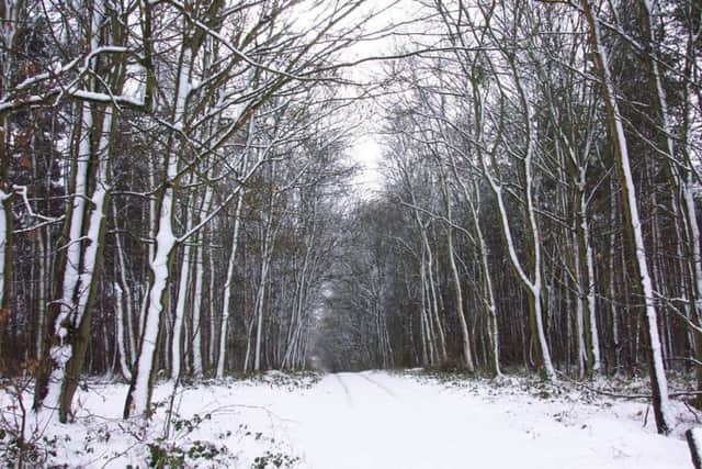 Willingham Woodds EMN-161223-191227001