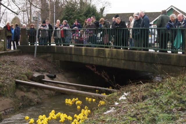 The ducks going under the bridge, watched by some of the large crowd. (Lin) EMN-161227-112828001