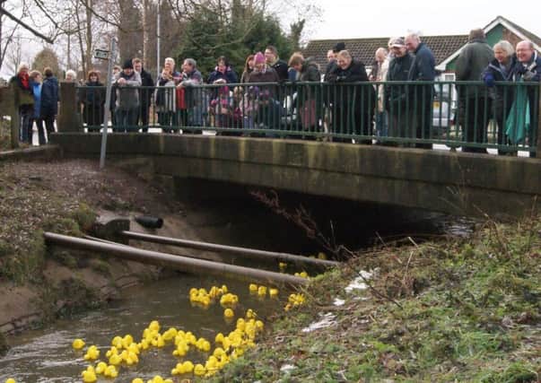 The ducks going under the bridge, watched by some of the large crowd.  (Lin) EMN-161227-112828001