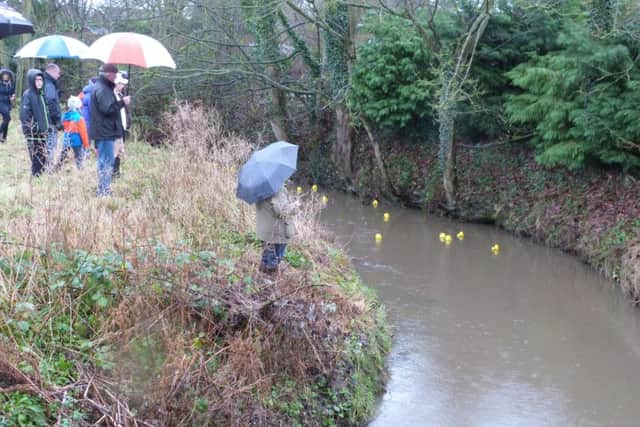The first ducks swimming towards the finish EMN-170201-185126001