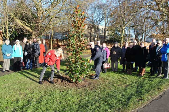 The tree being planted in memory of Winifred Stirk.
