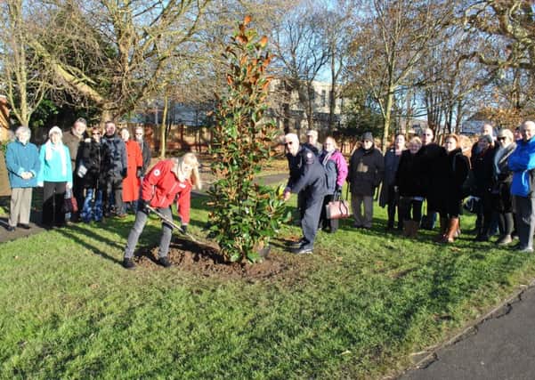 The tree being planted in memory of Winifred Stirk.