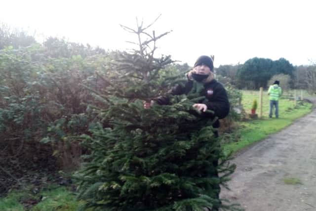 Skegness Eco Centre is accepting unwanted Christmas trees to be used in recycling projects. ANL-170401-163351001