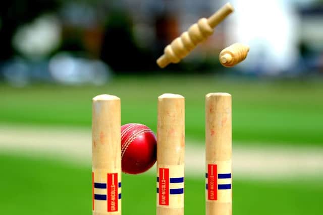 It's time for cricket!