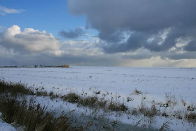 Enjoy a Winter Wildlife Wander at RSPB Frampton Marsh. EMN-170501-104012001