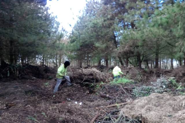 Volunteers are being invited to a Calorie Buster event and Skegness Coastal Eco Centre. ANL-170501-151919001