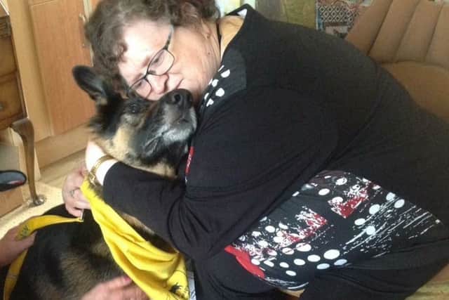 Therapy Dogs Nationwide need more volunteers in the Louth area.