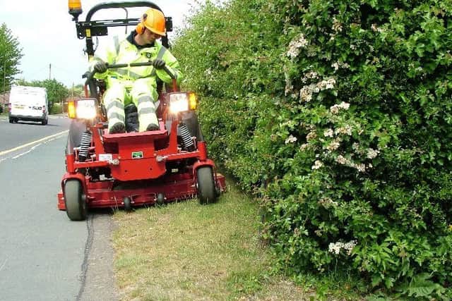 Grass cutting (stock).