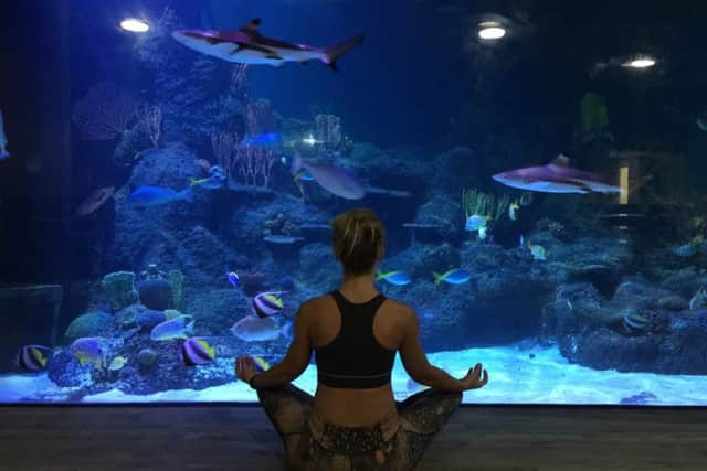 Enjoy yoga like never before... in an aquarium. EMN-171201-094825001