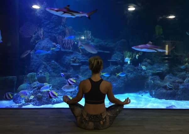Enjoy yoga like never before... in an aquarium. EMN-171201-094825001
