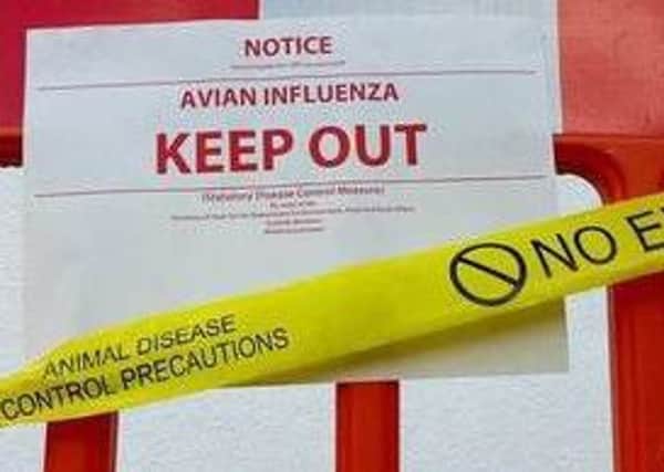 Avian Flu - Keep Out