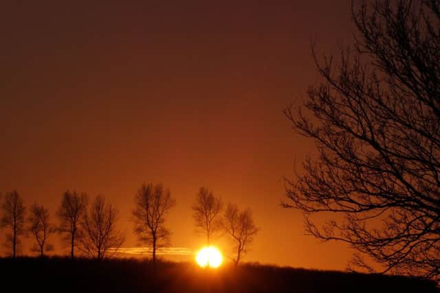 Carole Crawford took this lovely photograph.