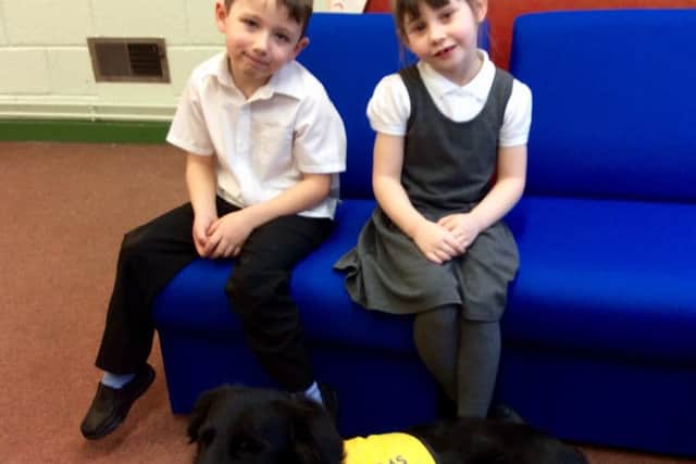 Pupils with Paddington from Pets as Therapy. EMN-170125-154323001