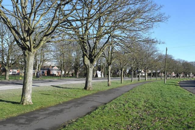 Skegness Town Council is appealing to Lincolnshire County Council for more time to work out how they can get the grass cut this season. ANL-170602-150319001