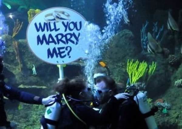 Say I do whilst surrounded by fish. EMN-170202-160119001