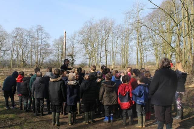Children from across the county have been getting back to nature for the project on the Scrivelsby Estate. EMN-171002-065331001