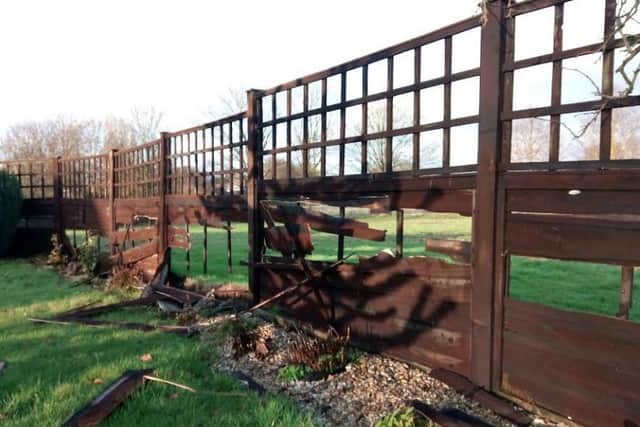 Heartbroken: Just some of the nine fencing panels damaged at a Rasen pensioners Coronation Road property EMN-170802-110013001