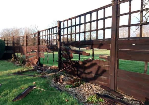 Heartbroken: Just some of the nine fencing panels damaged at a Rasen pensioners Coronation Road property EMN-170802-110013001