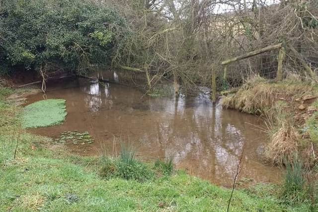 Volunteer with the Chalk Stream Project EMN-170302-085334001