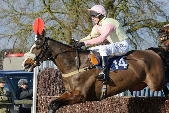 The Brocklesby Hunt Point-To-Point host their meet at Brocklesby Park this weekend Picture: Nico Morgan Photography EMN-170602-094353002