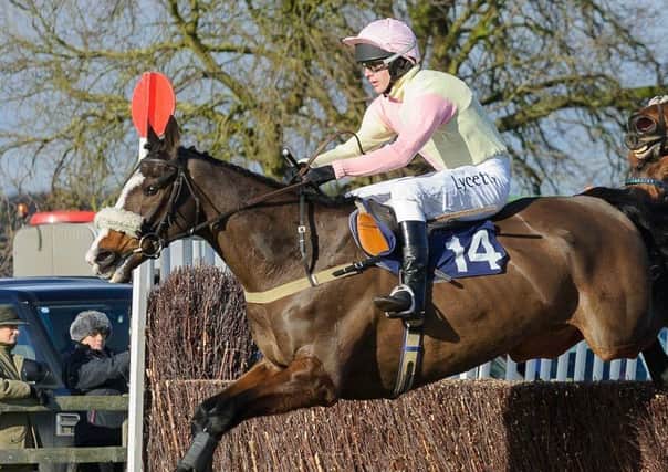 The Brocklesby Hunt Point-To-Point host their meet at Brocklesby Park this weekend Picture: Nico Morgan Photography EMN-170602-094353002