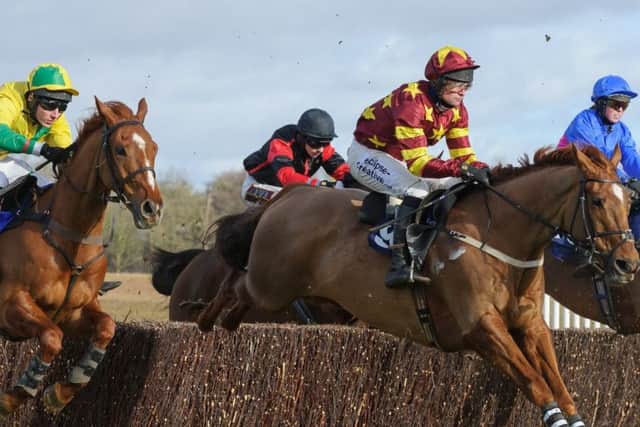 Action from the Mixed Open at last year's Brocklesby Hunt Point-To-Point, Picture: Nico Morgan Photography EMN-170602-112113002