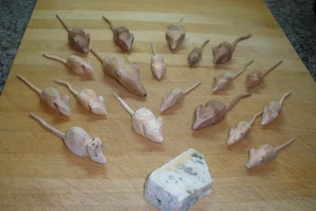More mice are on their way to The Stump. EMN-170802-123405001