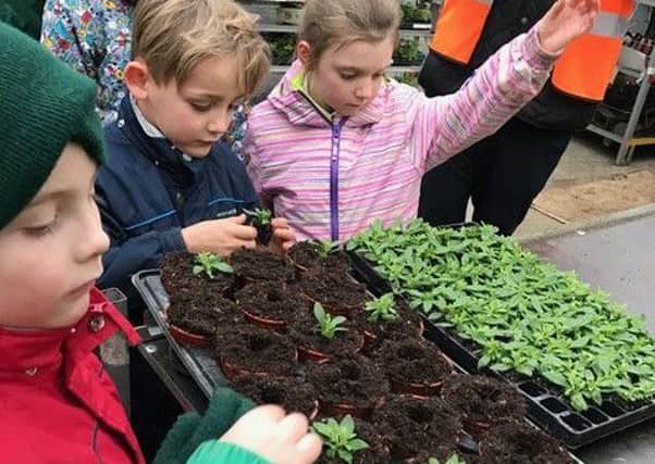 St George's pupils get hands-on at Bell Brothers Nurseries.