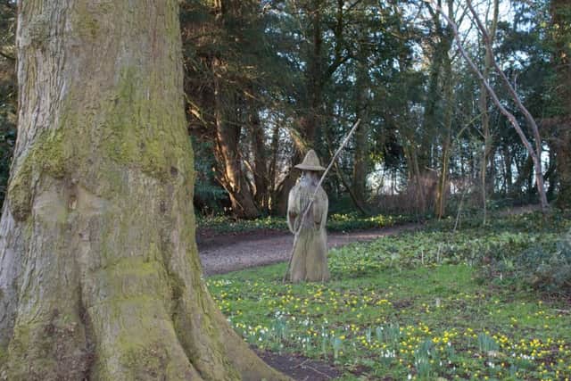 Hackthorn Hall Snowdrop Sunday EMN-170902-164448001