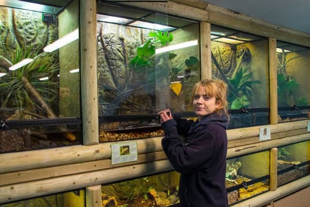 Mablethorpe Seal Sanctuary employee, Vicky Jackson, pictured in the newly refurbished education room.