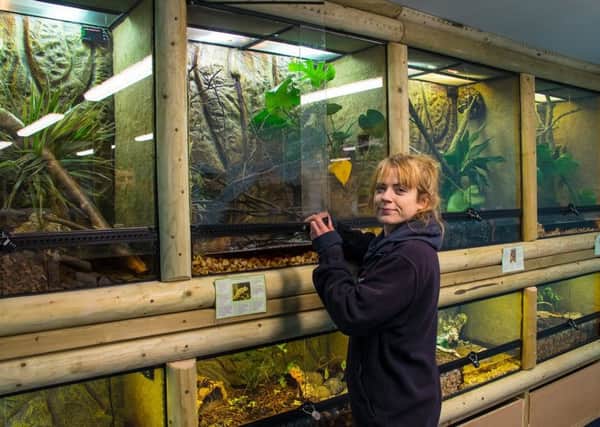 Mablethorpe Seal Sanctuary employee, Vicky Jackson, pictured in the newly refurbished education room.